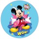 1DMMFBR disc vafa Mickey Mouse D20cm